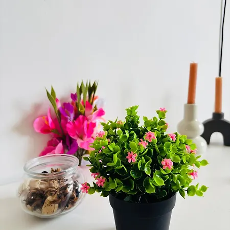 Cocooning & Cosy * 尼斯